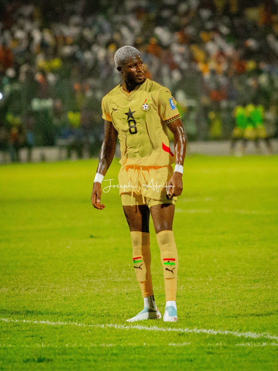 WhatsApp Image 2025-09-09 at 00.33.52_4b09234a